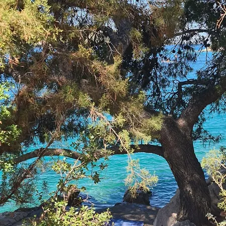 Dalmacjia 公寓 Grebaštica