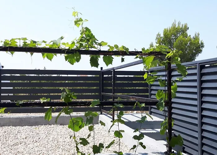 Dalmacjia * Grebastica