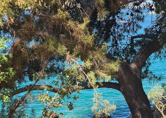 Dalmacjia شقة Grebaštica